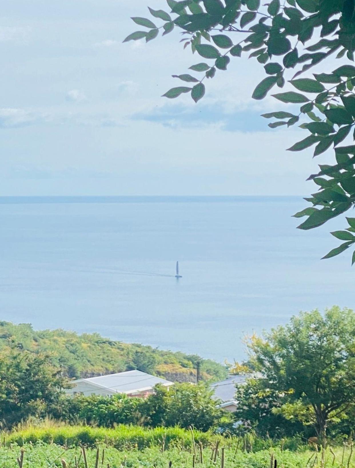 Bas De Villa Vacances Ocean Le Carbet Exteriör bild